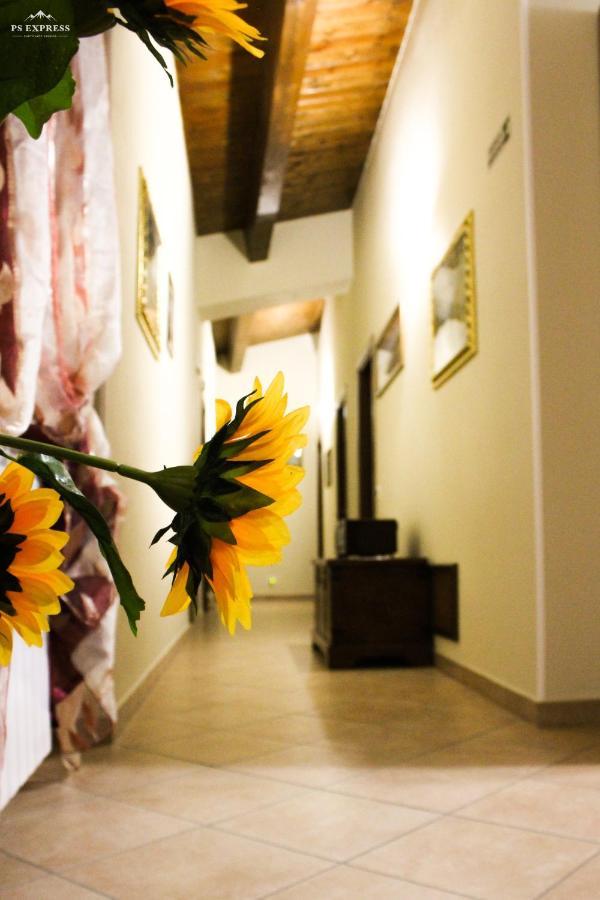 Agriturismo Aria Fina Villa Mormanno Exterior foto