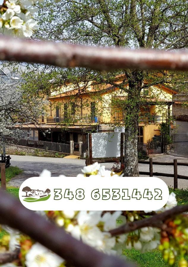 Agriturismo Aria Fina Villa Mormanno Exterior foto