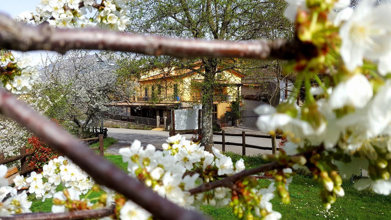 Agriturismo Aria Fina Villa Mormanno Exterior foto